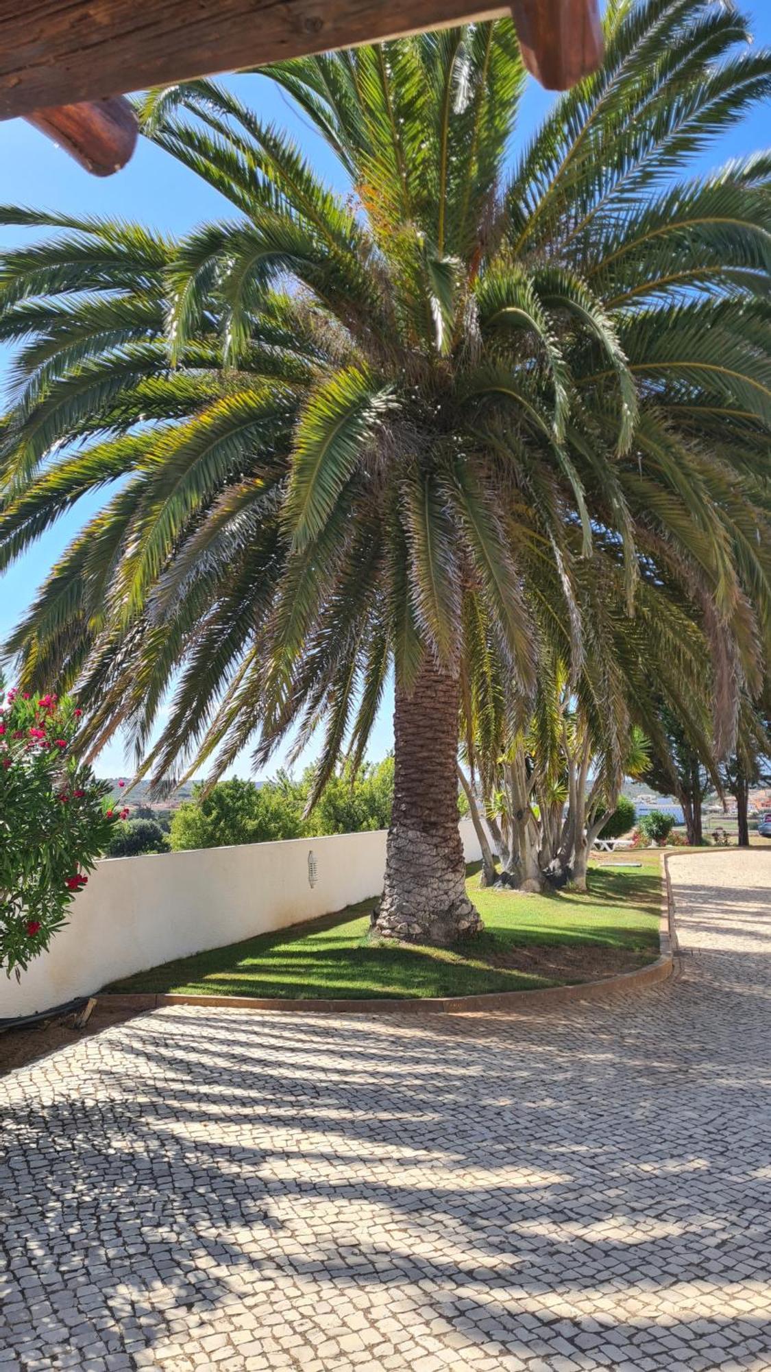 Residence Les Arcades Almádena エクステリア 写真
